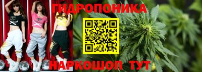 ГАЛЛЮЦИНОГЕННЫЕ ГРИБЫ Можга