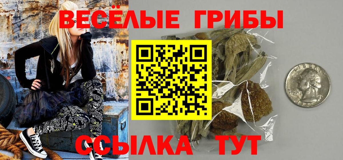 Холмск  купить наркоту  Вход с VPN  Галлюциногенные грибы Cubensis 
