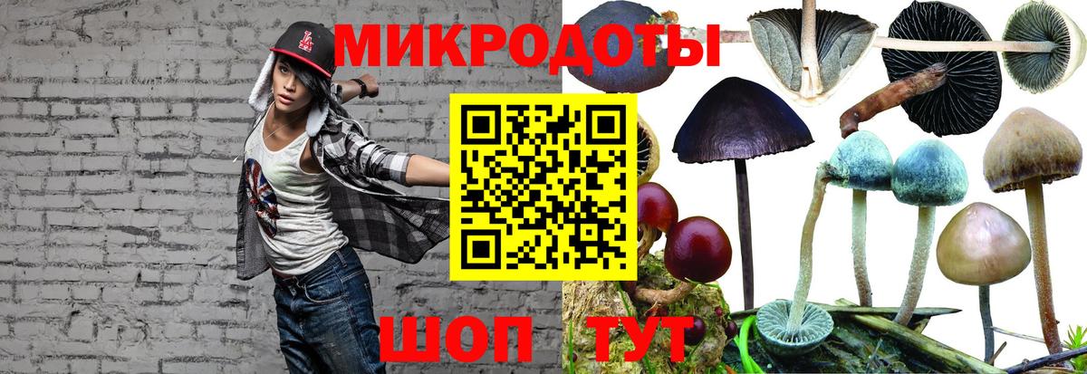 Псилоцибиновые грибы Cubensis Холмск